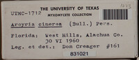 Image Associated With the Occurence